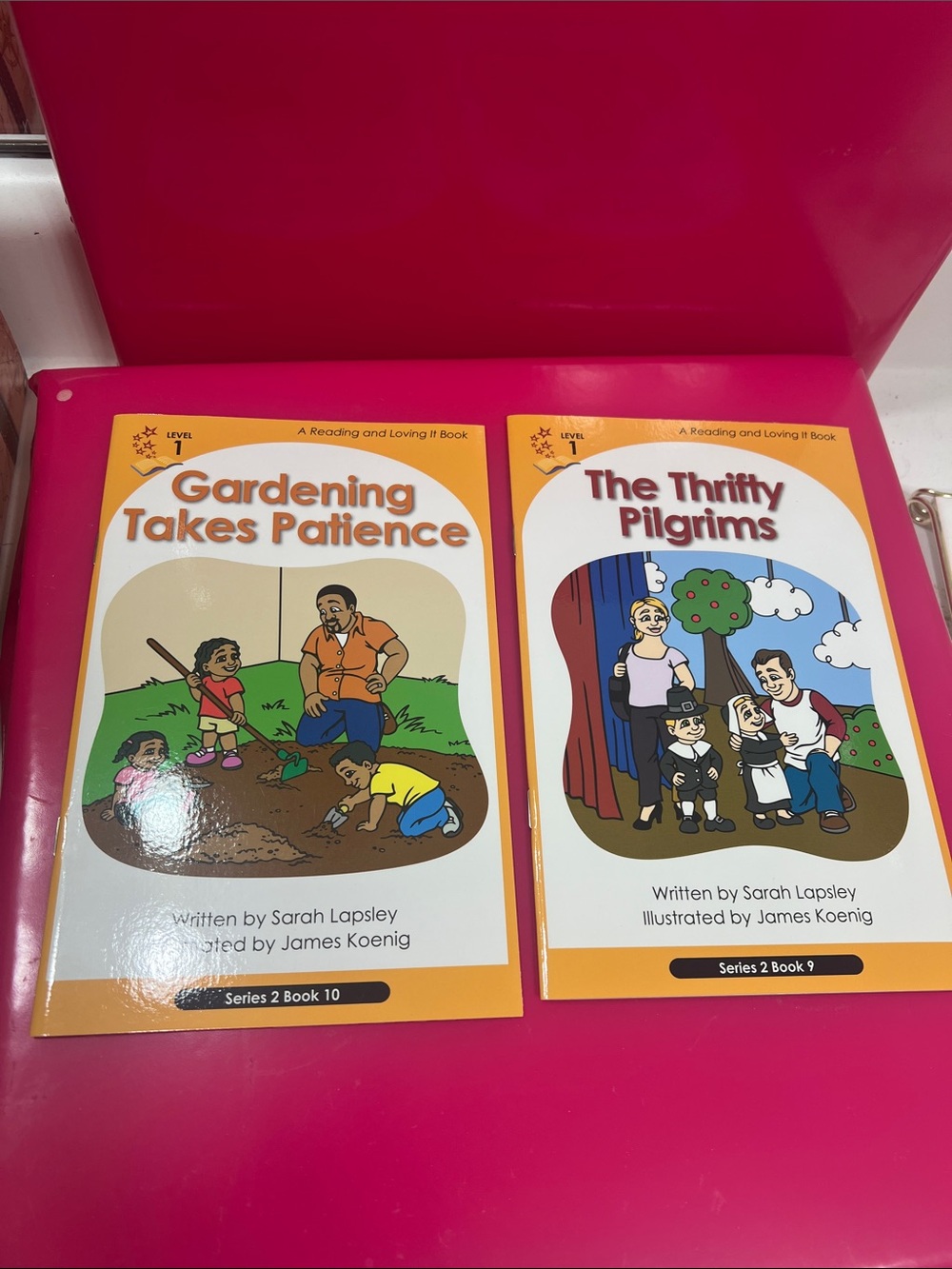 Level 1 - A Reading and Loving It Book Bundle by Sarah Lapsley - Picture 3 of 4
